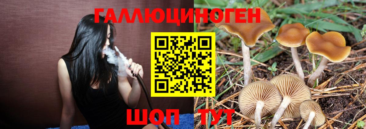 наркота  Галлюциногенные грибы ЛСД  Вход с VPN  Ульяновск 